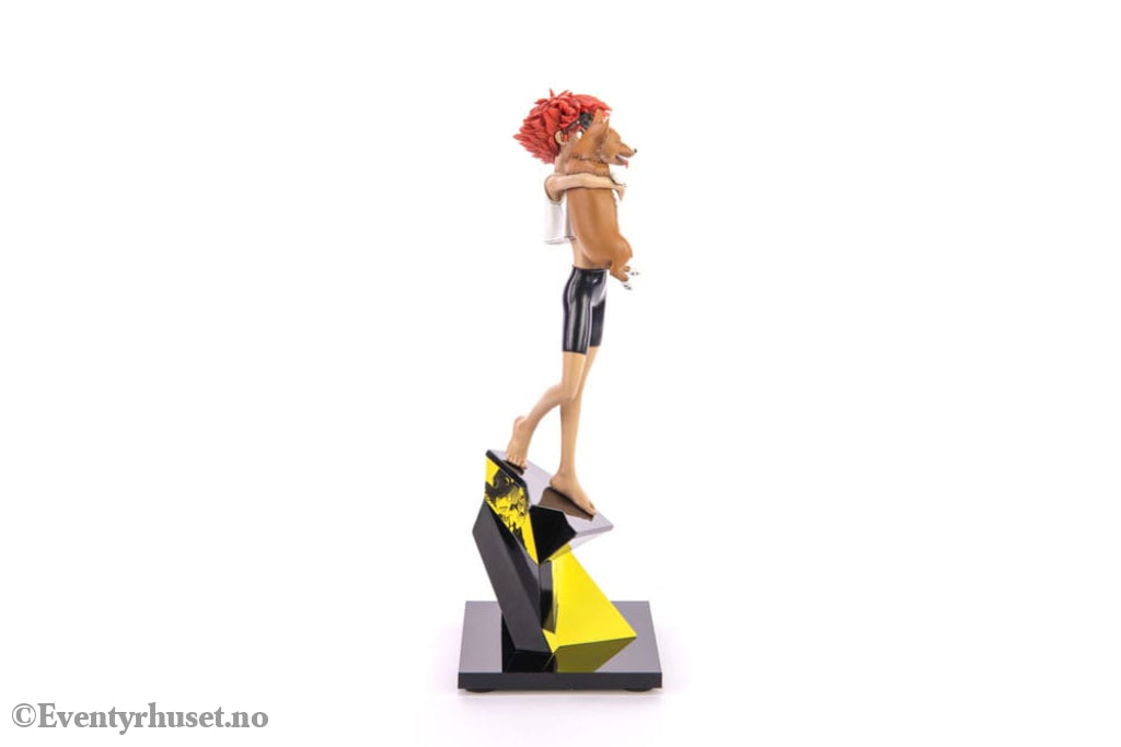 Cowboy Bebop Statue 1/8 Ed & Ein 28 cm Manga & Anime