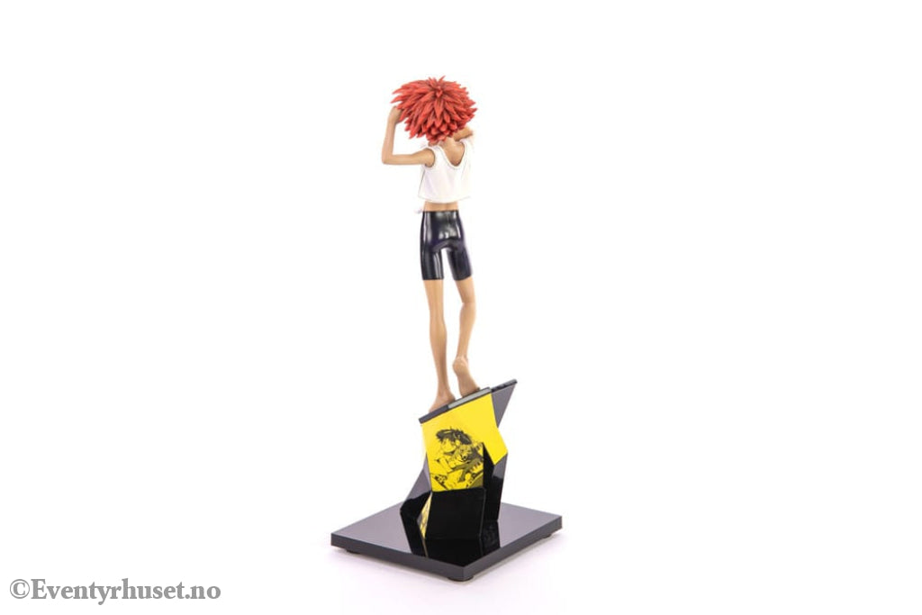 Cowboy Bebop Statue 1/8 Ed & Ein 28 cm Manga & Anime