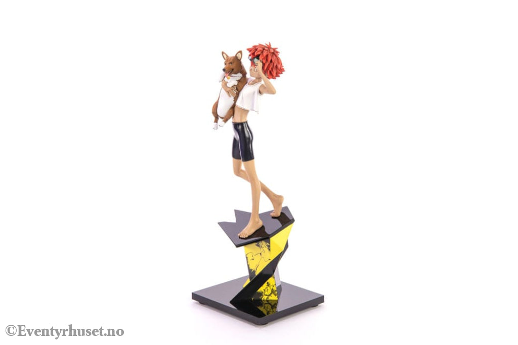 Cowboy Bebop Statue 1/8 Ed & Ein 28 cm Manga & Anime
