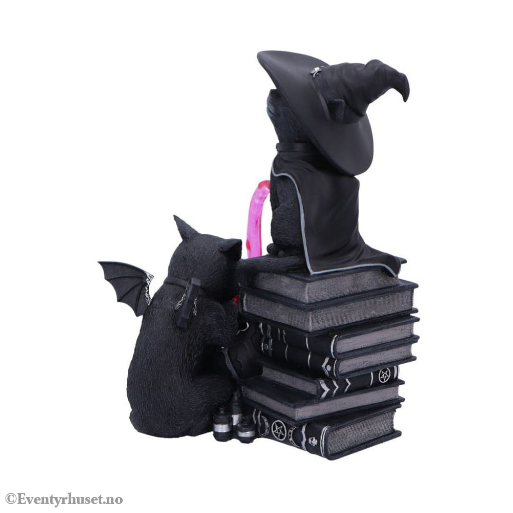 Cult Cuties Figure Curious Cauldron 18 cm Home & Gifts