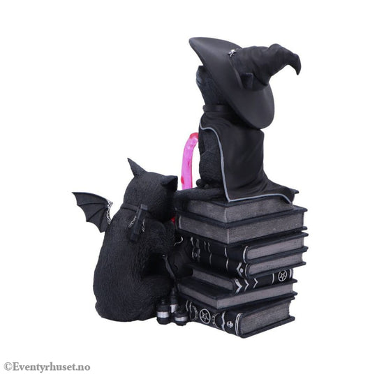 Cult Cuties Figure Curious Cauldron 18 cm Home & Gifts