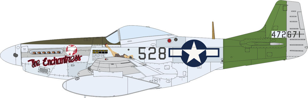 P-51D Mustang