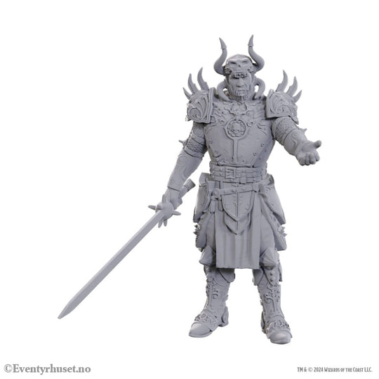 D&D Nolzur’s Marvelous Miniatures Unpainted Miniature Sarevok Anchev & Raphael Games