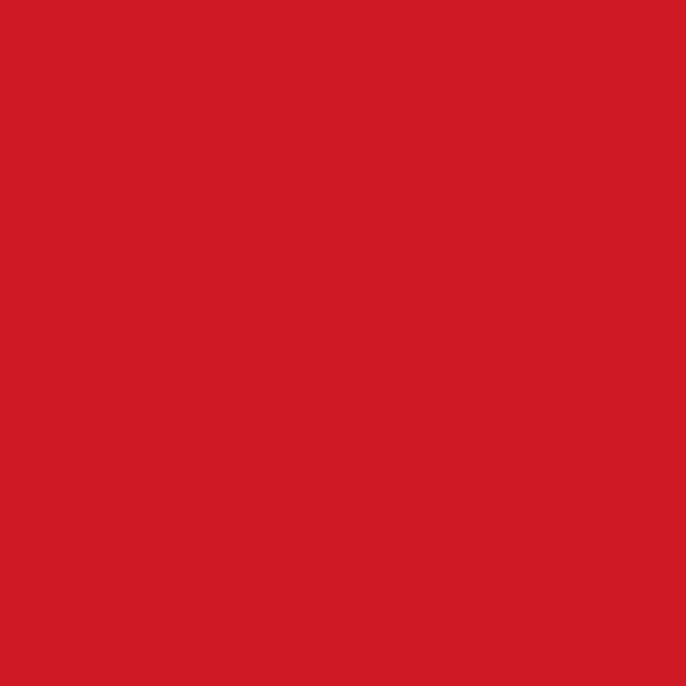 Model Color: 032 - Vermilion 18 ml