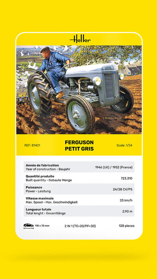Ferguson Petit Gris