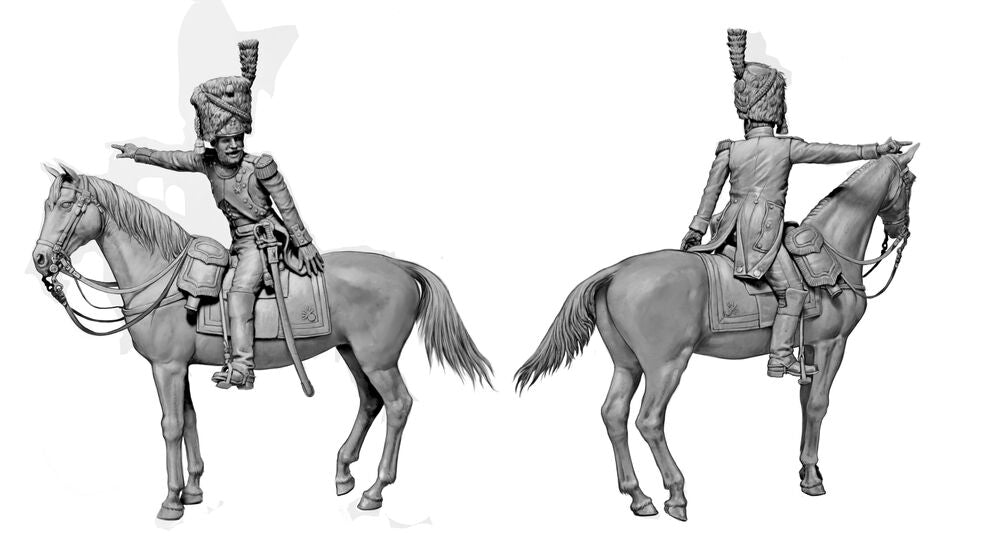 Napoleonic Wars Era. The Old Guard Officer