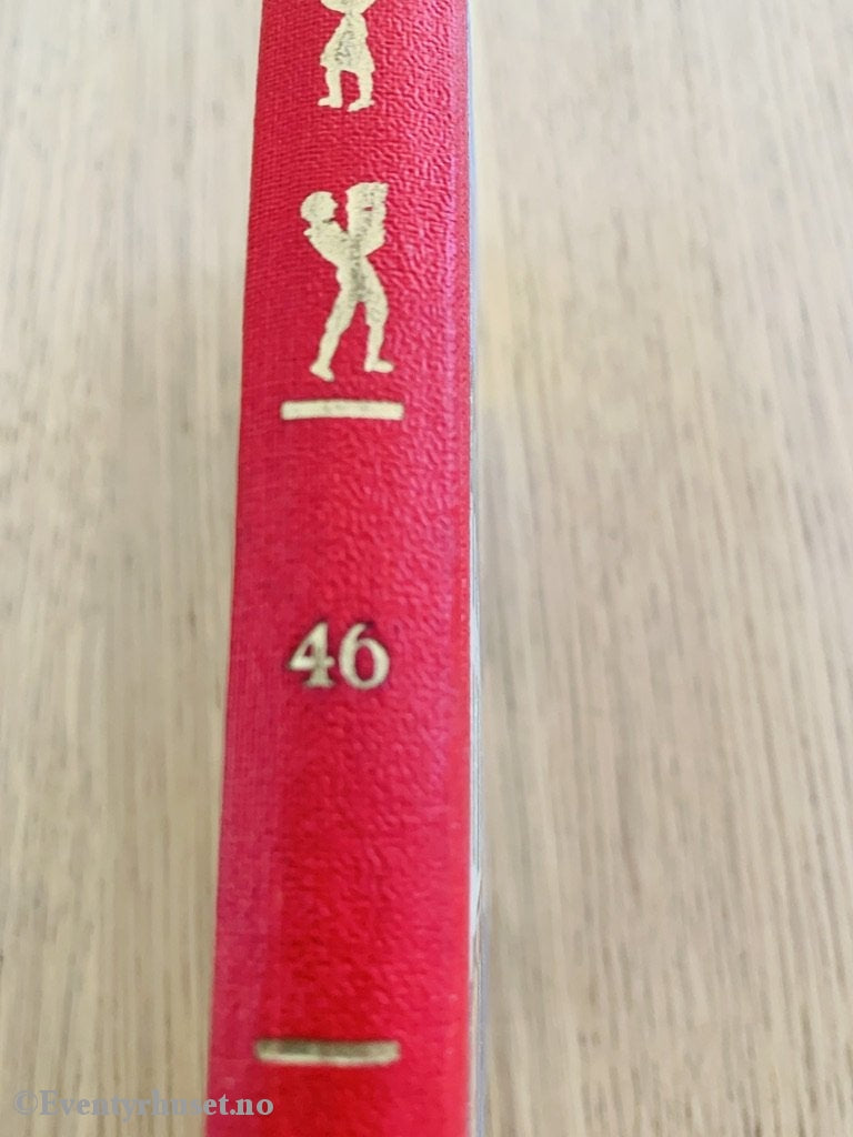 Damms Barnebibliotek Nr. 46. Evi Bøgenæs. Så Hendte Det Noe. 1962. Fortelling