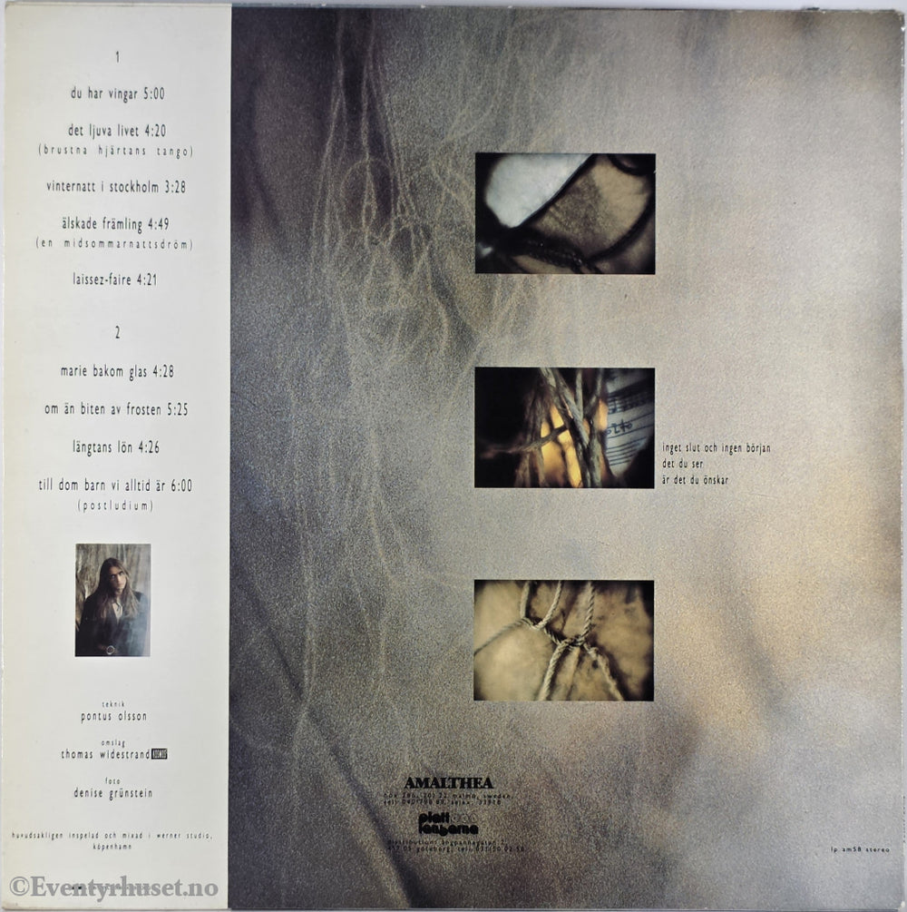 Dan Hylander & Kosmonaut. 1986. Kung av onsdag. LP.