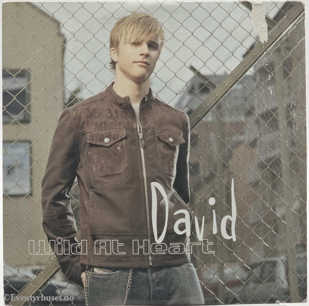 David. 2004. Wild at Heart. CD.