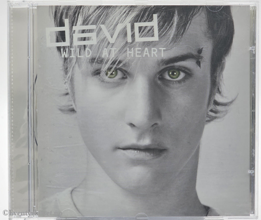 David - Wild at Heart. 2004 . Musikk-CD.