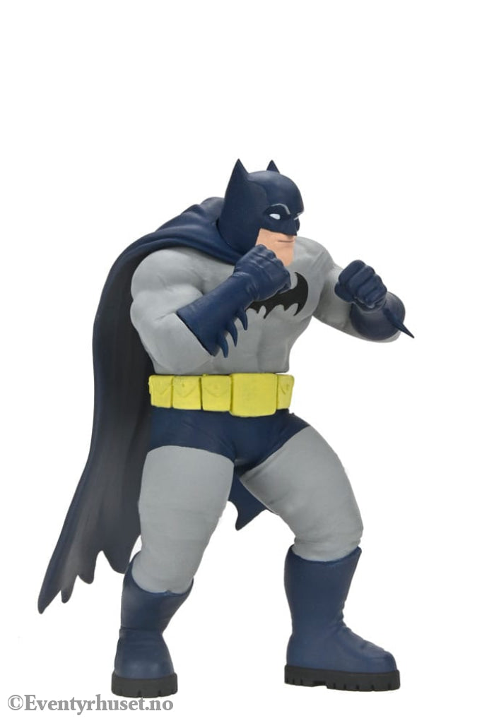 DC Comics Action Figures Series 2 15 cm Assortment (12) Toys