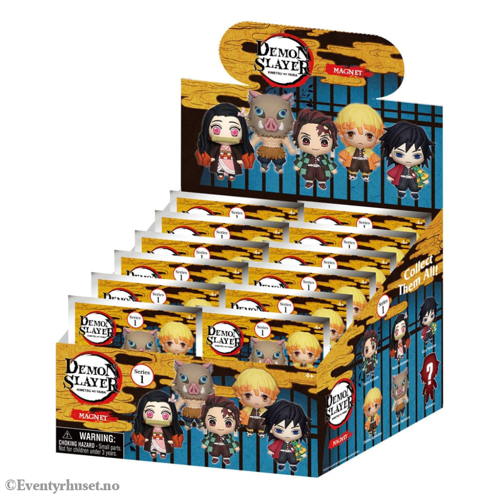Demon Slayer: Kimetsu no Yaiba 3D 3D Magnets Series 1 Display (12) Home & Gifts