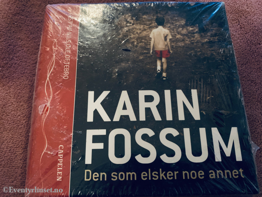 Den som elsker noe annet. Lydbok.