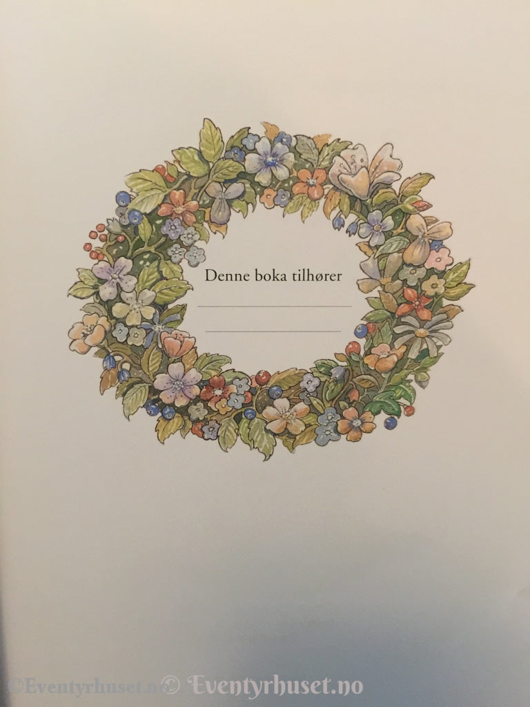 Den Store Eventyrboka. 2007. Eventyrbok