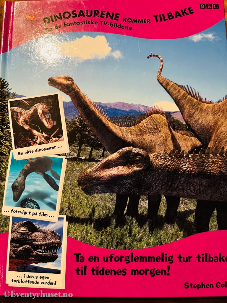 Dinosaurene Kommer Tilbake. 1999/00. Fortelling