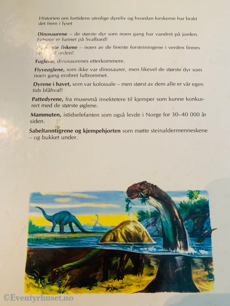 Dinosaurer Og Andre Fortellinger. 1985/89. Fortelling