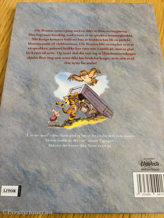 Disney. Ole Brumm: En annens skatt. Bok.