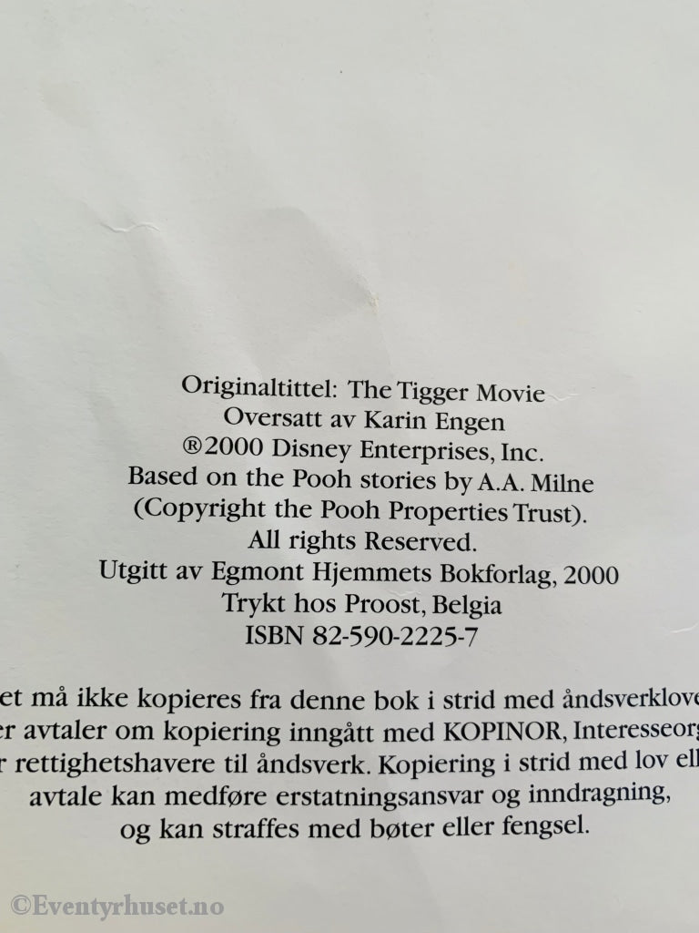 Disneys Tigergutt Og Familietreet. 2000. Fortelling