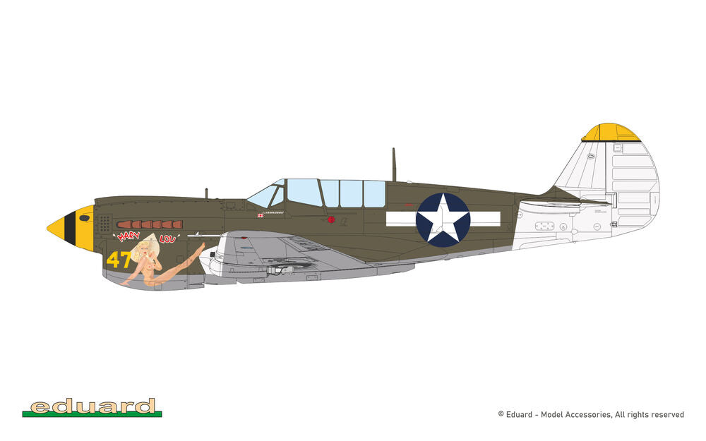 P-40N Warhawk