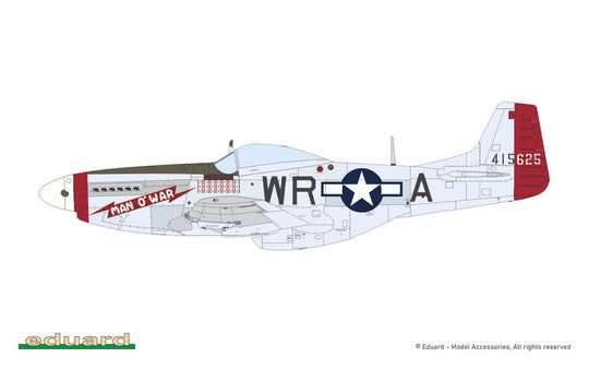 MIGHTY EIGHT: 65th Fighter Wing