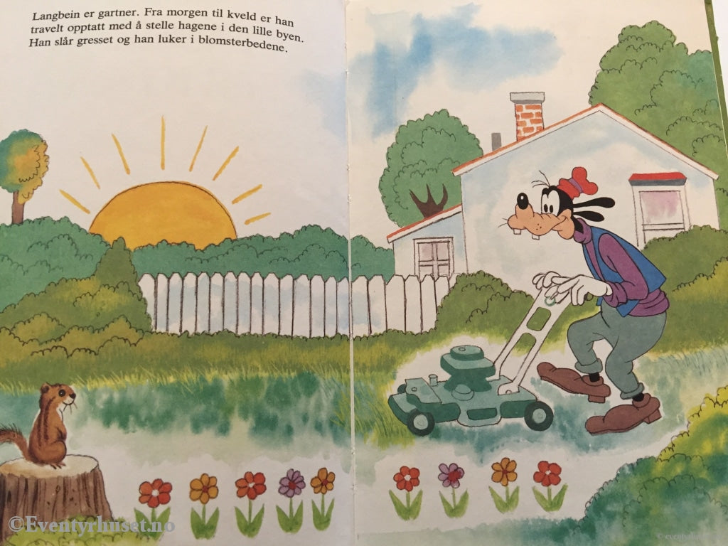 Donald Ducks Bokklubb. 1980. Langbein Får Ny Jobb. Bokklubb