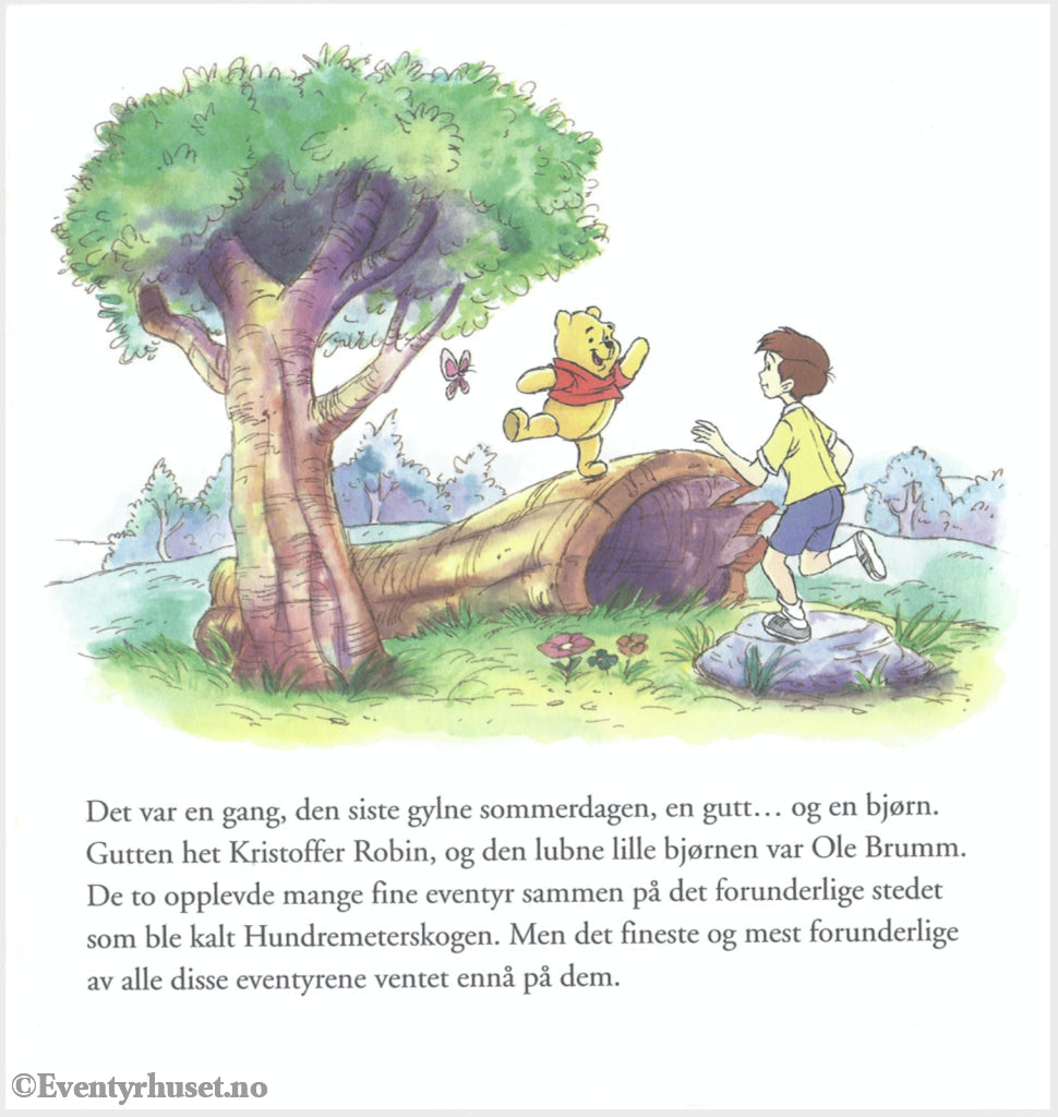 Download: 109 Disney Eventyrbånd - Ole Brumm Og Jakten På Kristoffer Robin. Digital Lydfil Bok I