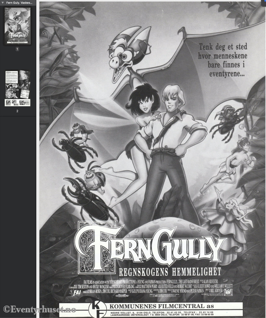 Download: Fern Gully. Unik Brosjyre På 2 Sider Med Norsk Tekst (Vaskeseddel). Digital Fil I