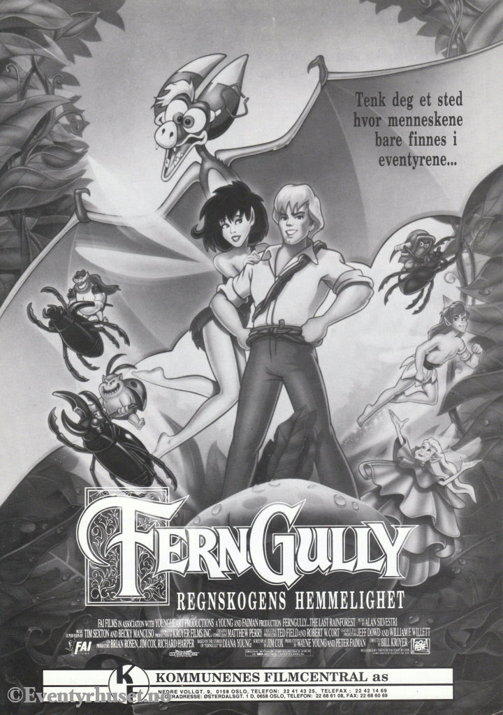 Download: Fern Gully. Unik Brosjyre På 2 Sider Med Norsk Tekst (Vaskeseddel). Digital Fil I