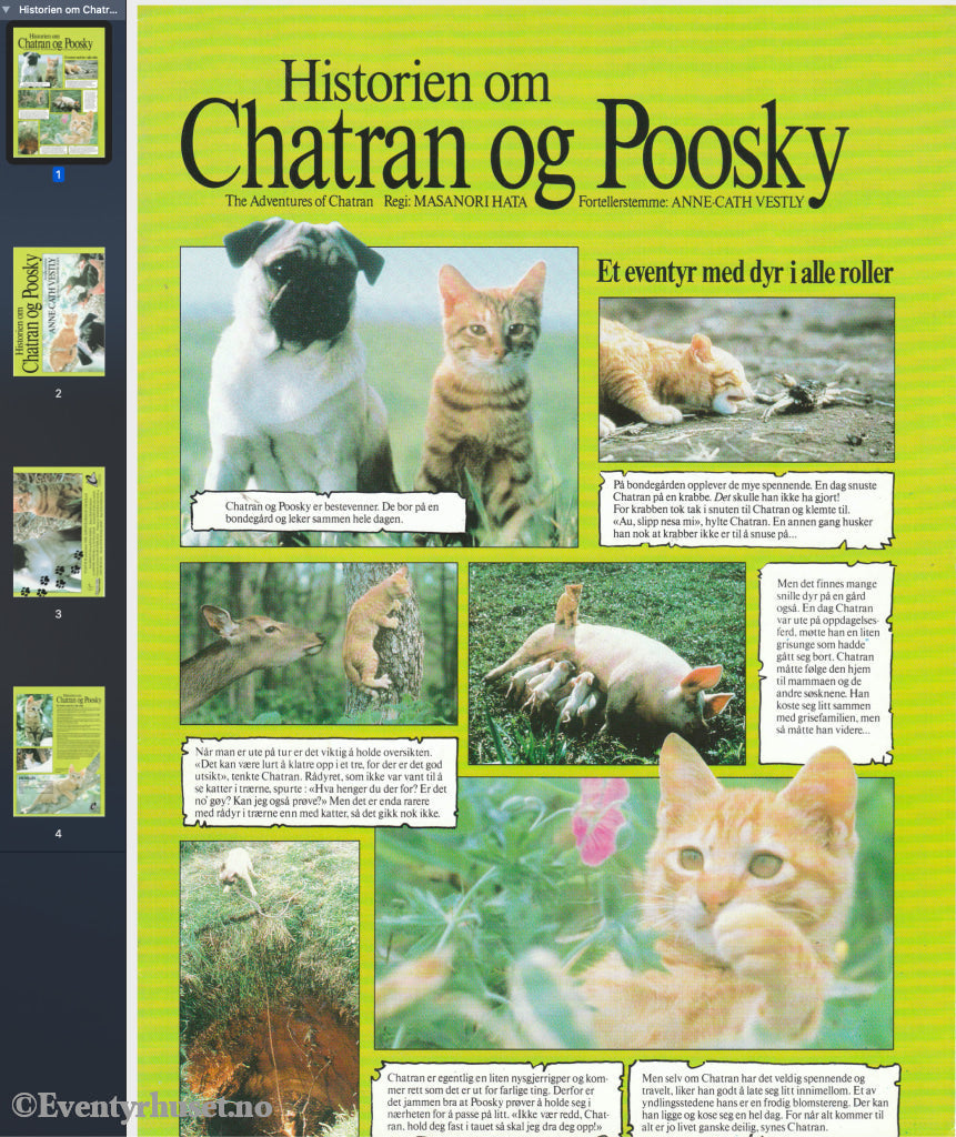 Download: Historien Om Chatran Og Poosky. Unik Brosjyre På 4 Sider Med Norsk Tekst (Vaskeseddel).