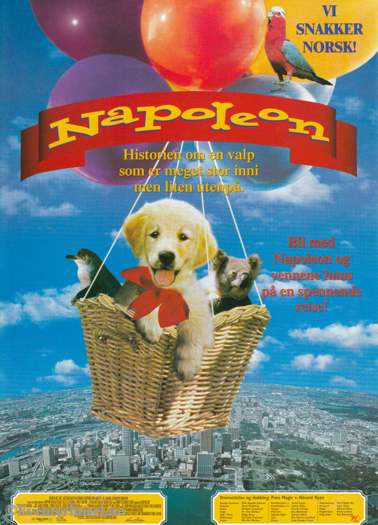 Download: Napoleon. Unik Brosjyre På 2 Sider Med Norsk Tekst (Vaskeseddel). Digital Fil I