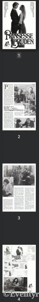 Download: Prinsessebruden. Unik Brosjyre På 4 Sider Med Norsk Tekst (Vaskeseddel). Digital Fil I