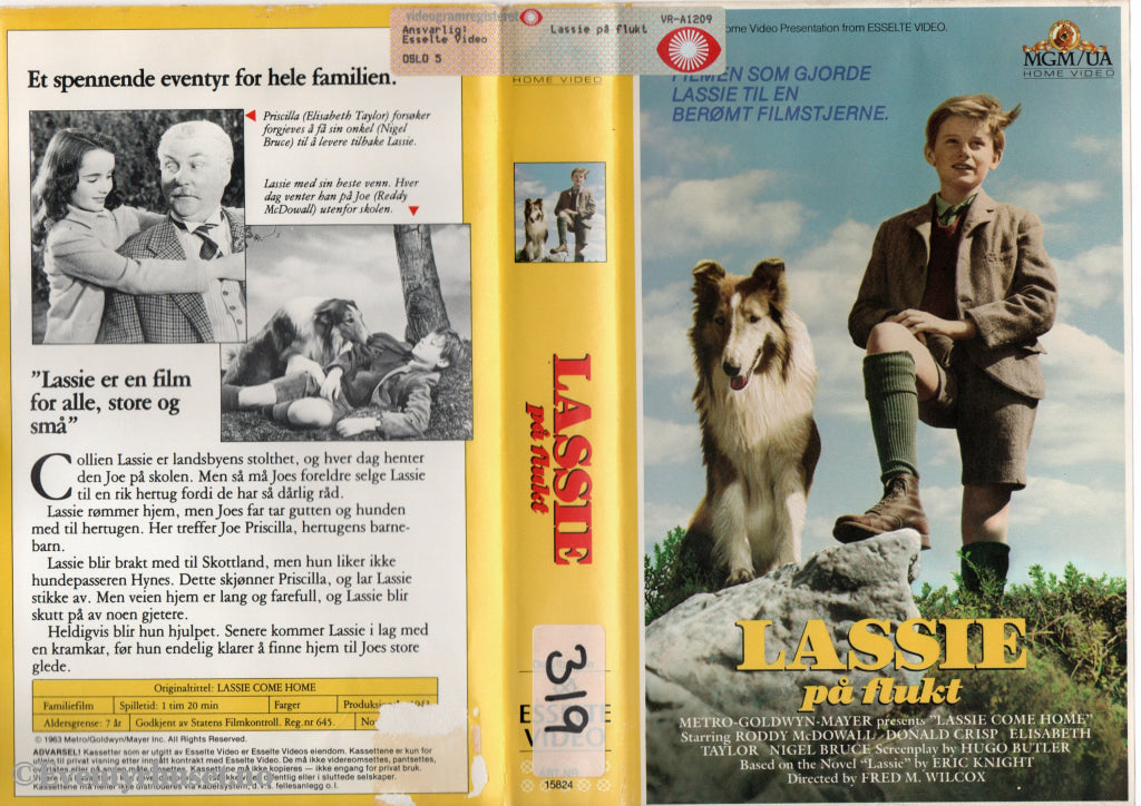 Download / Stream: Lassie På Flukt. 1943. Vhs Big Box. Norwegian Subtitles.
