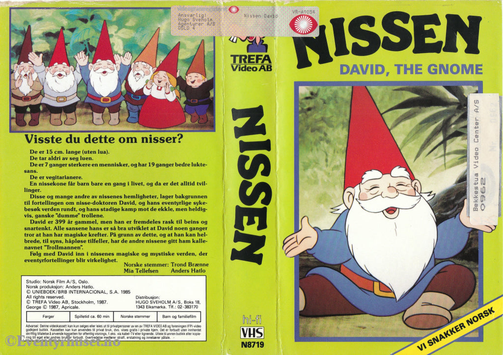 Download / Stream: Nissen David The Gnome. 1985/87. Vhs Big Box. Norwegian Dubbing.