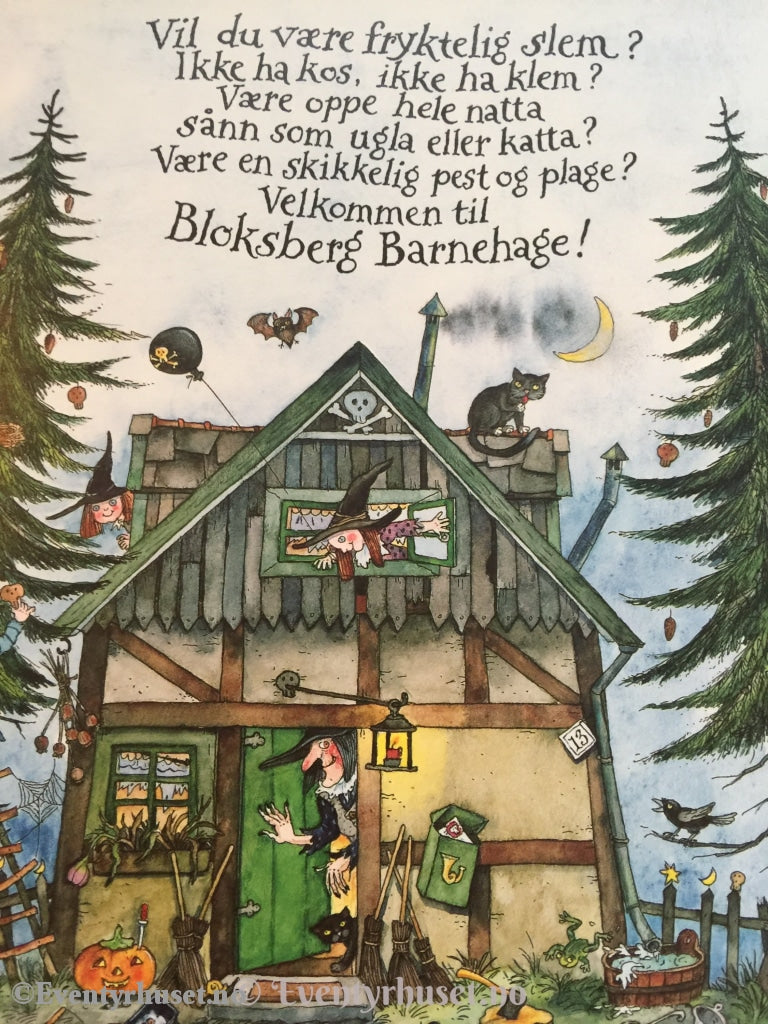 Dra Til Bloksberg. 2007. Fortelling