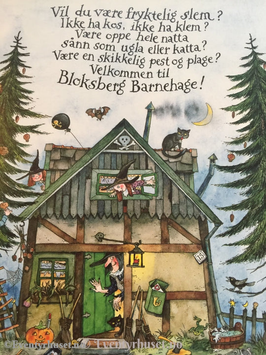 Dra Til Bloksberg. 2007. Fortelling