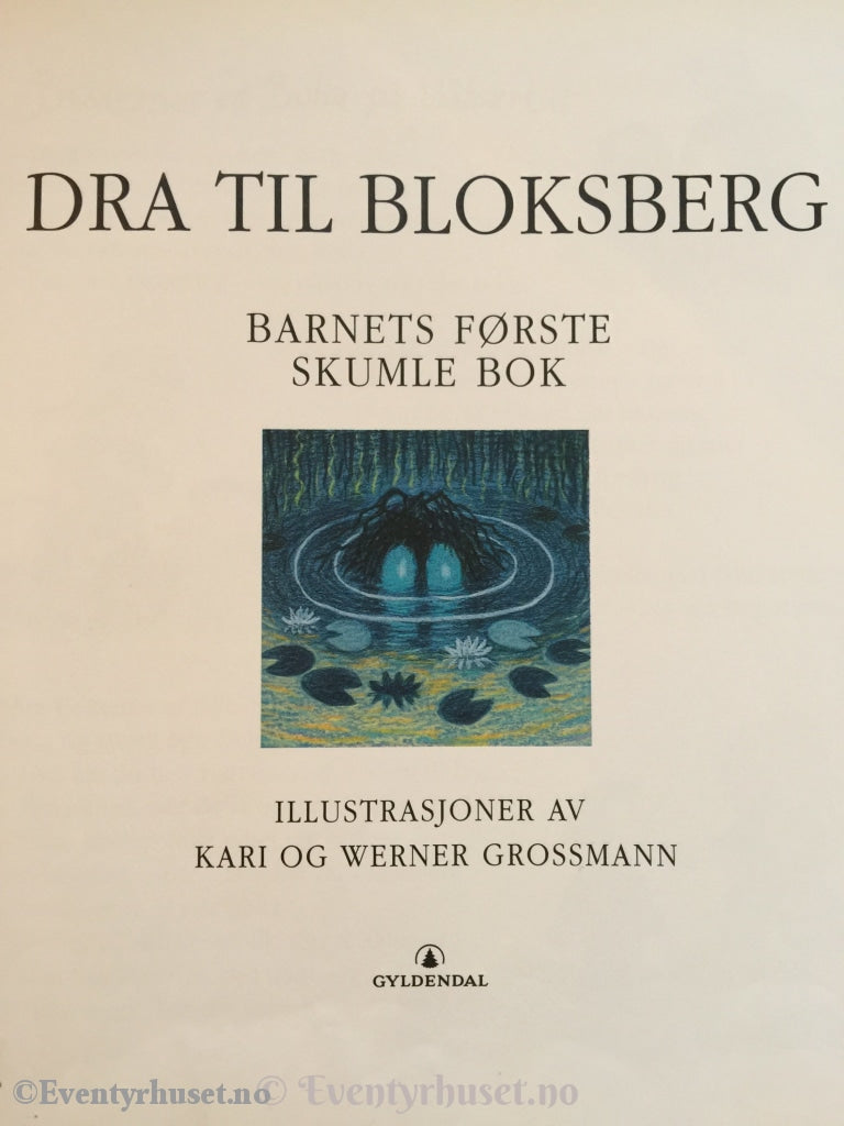 Dra Til Bloksberg. 2007. Fortelling