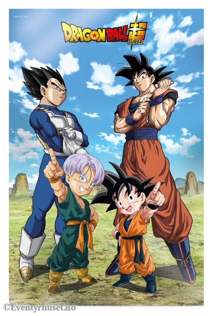 Dragon Ball Super 3D Poster Battle of Gods Goku Vegeta Family 38 x 58 cm Manga & Anime