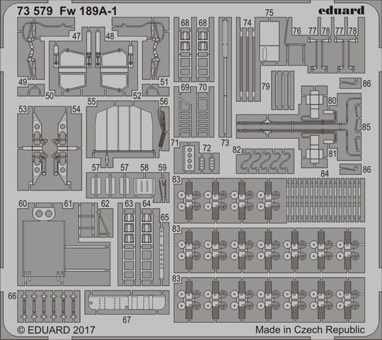 Fw 189A-1 for ICM