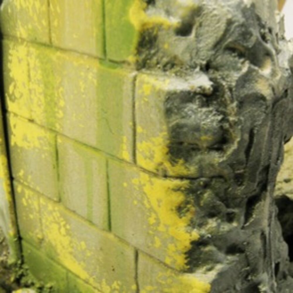 Weathering FX: Moss and Lichen Effect 40 ml