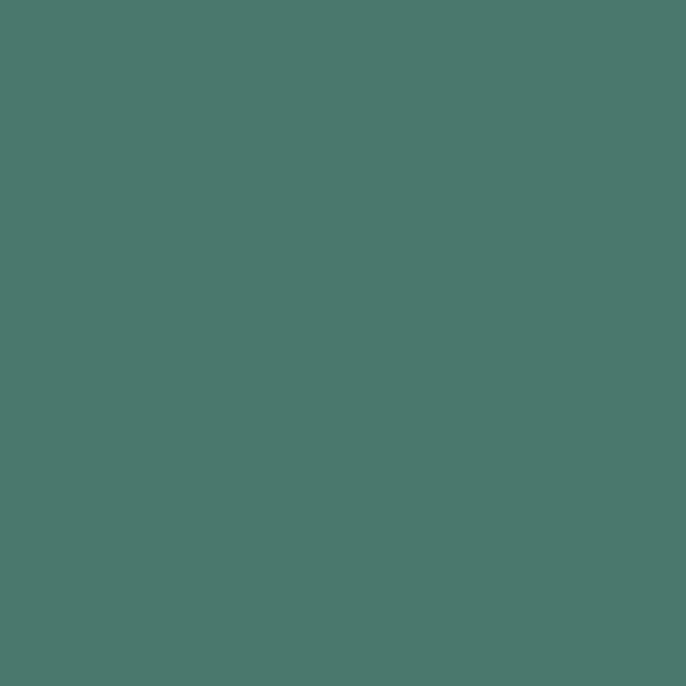 Model Air: Light Green RLM25 18 ml