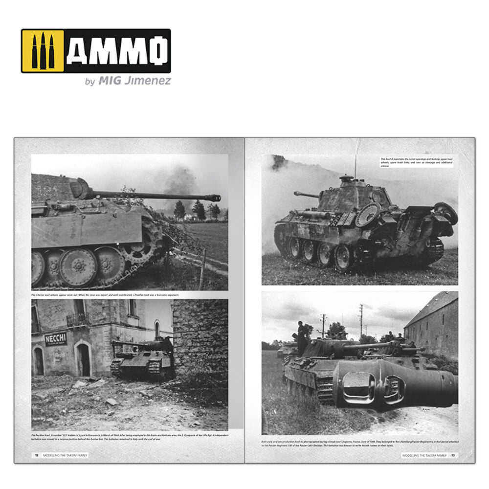 Panthers - Modeling the TAKOM Family (English)
