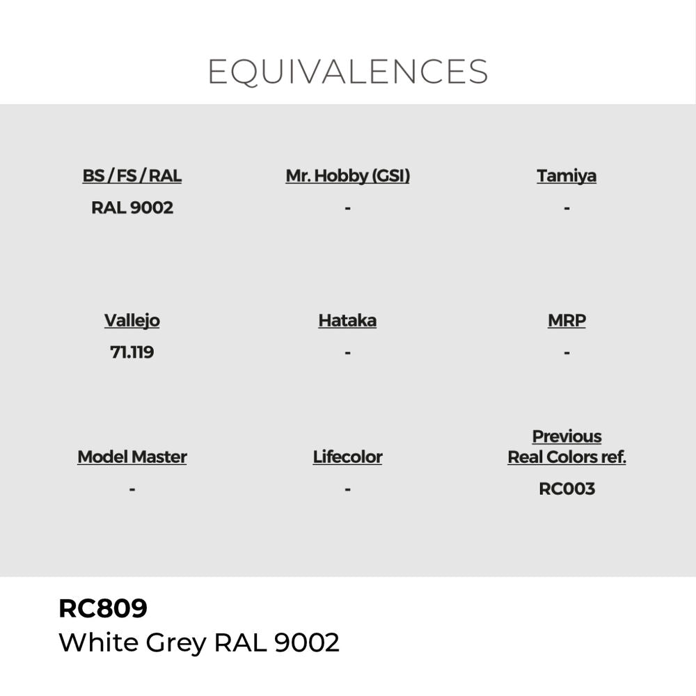 Real Colors: White Grey RAL 9002 17 ml.
