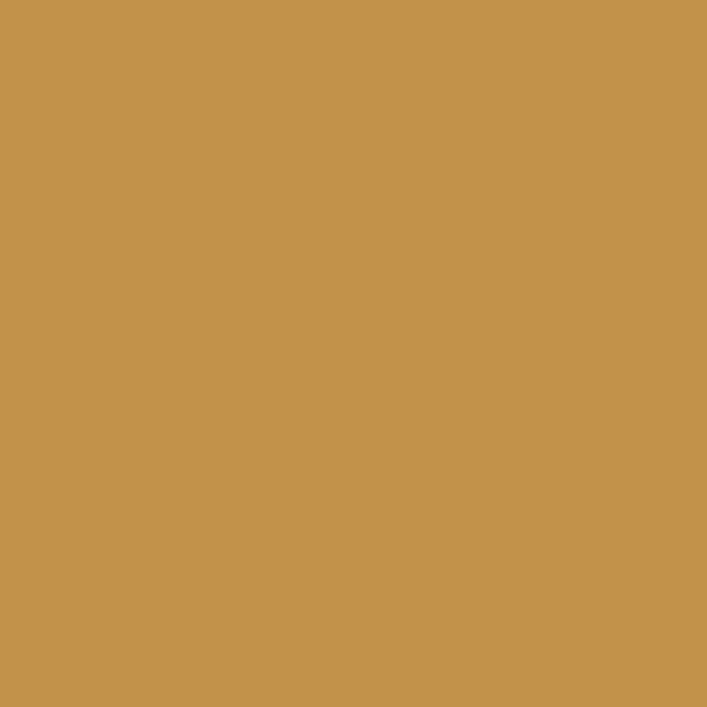 Model Color: 157 - Yellow Ochre 18 ml