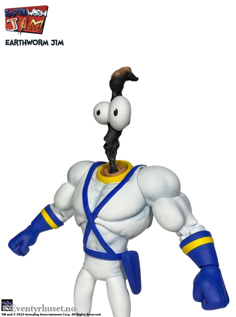 Earthworm Jim Accessory Pack Wave 1: Worm Body & Jim Heads Toys