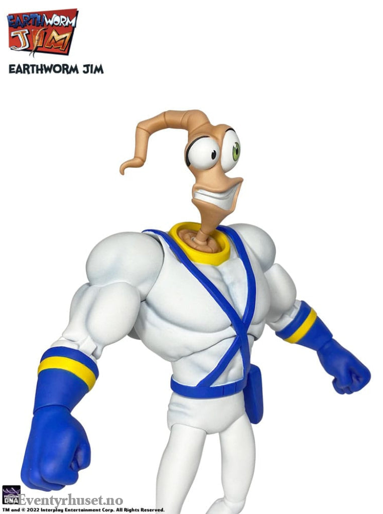 Earthworm Jim Accessory Pack Wave 1: Worm Body & Jim Heads Toys
