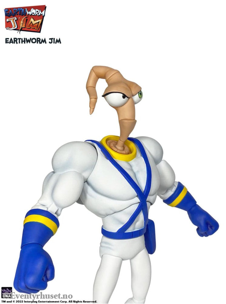 Earthworm Jim Accessory Pack Wave 1: Worm Body & Jim Heads Toys