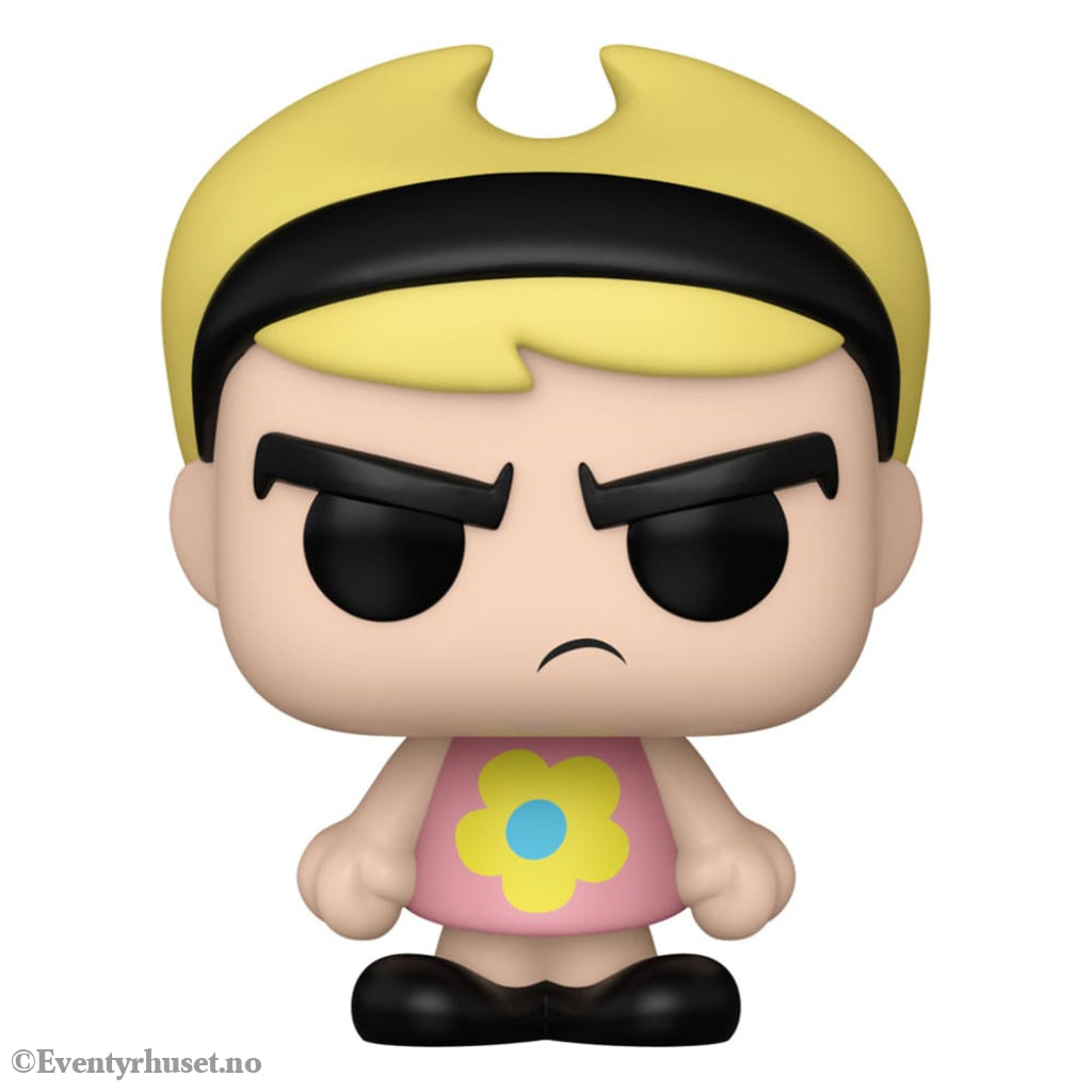 Ed Edd and Eddy POP! TV Vinyl Figure Mandy 9 cm Collectibles