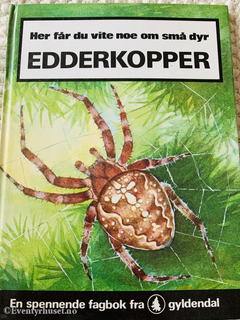 Edderkopper. Faktabok