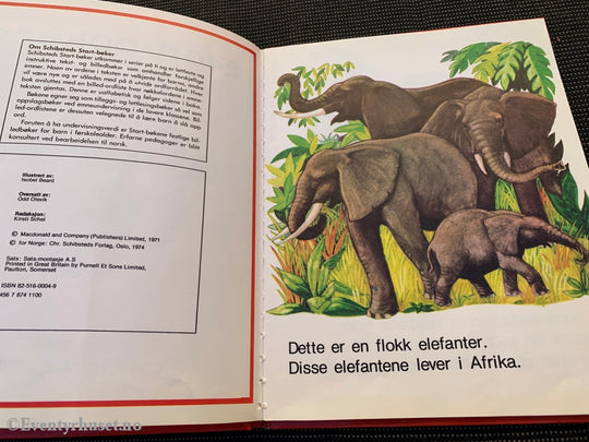 Elefanter (Start-Bøkene). 1974. Fortelling