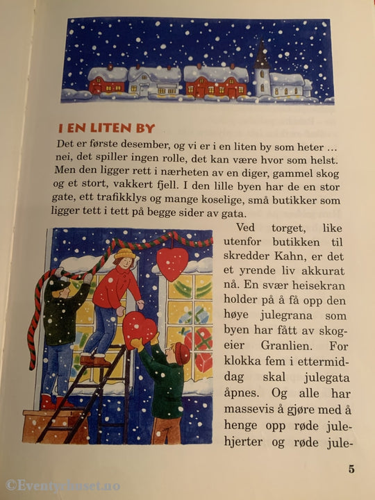 Eli Rygg Og Anders Rogg. 1994. Rødfargen Som Forsvant. Fortelling
